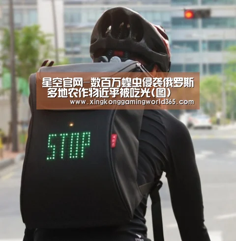 星空官网-数百万蝗虫侵袭俄罗斯 多地农作物近乎被吃光(图)(图1) 星空赛事