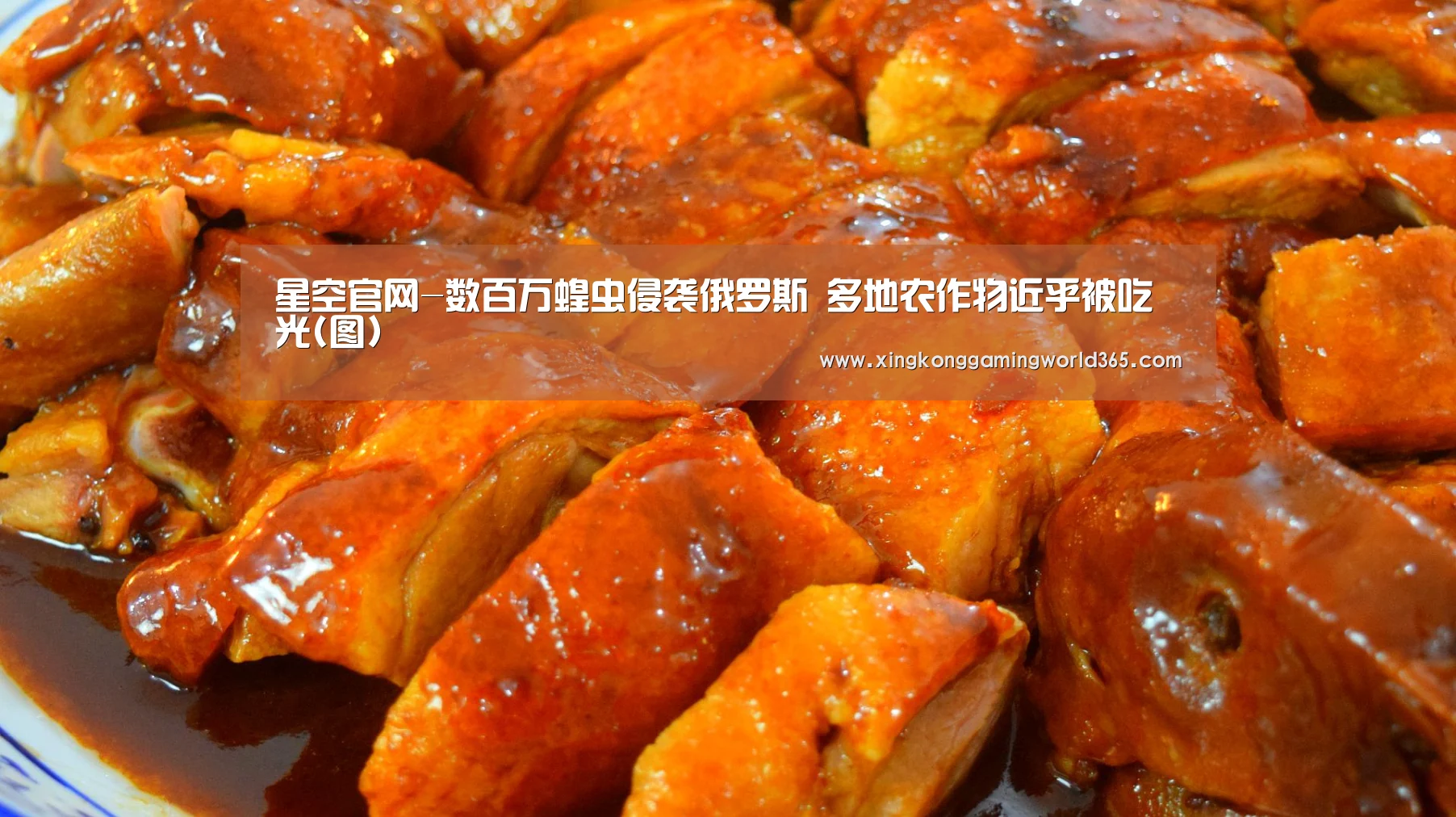 星空官网-数百万蝗虫侵袭俄罗斯 多地农作物近乎被吃光(图)(图2) 星空赛事