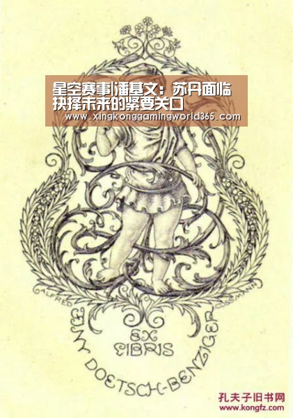 星空赛事|潘基文:苏丹面临抉择未来的紧要关口(图1) 星空真人