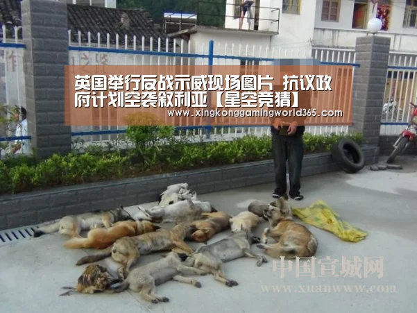 英国举行反战示威现场图片 抗议政府计划空袭叙利亚【星空竞猜】(图2) 星空赛事