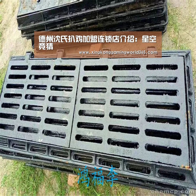 德州沈氏扒鸡加盟连锁店介绍:星空竞猜(图4) 星空竞猜