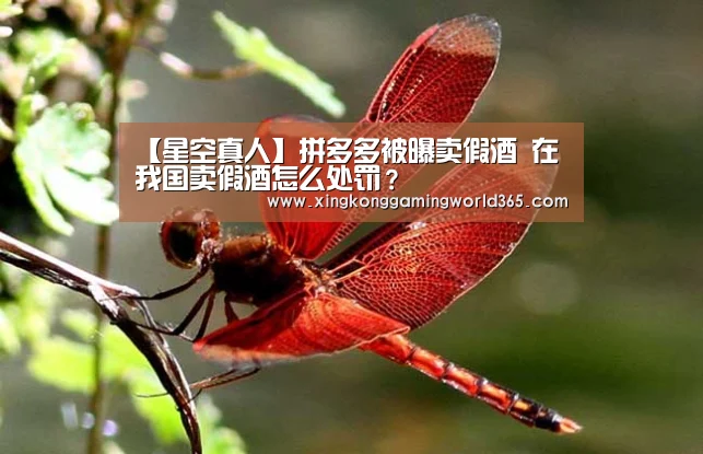 【星空真人】拼多多被曝卖假酒 在我国卖假酒怎么处罚?(图1) 星空赛事